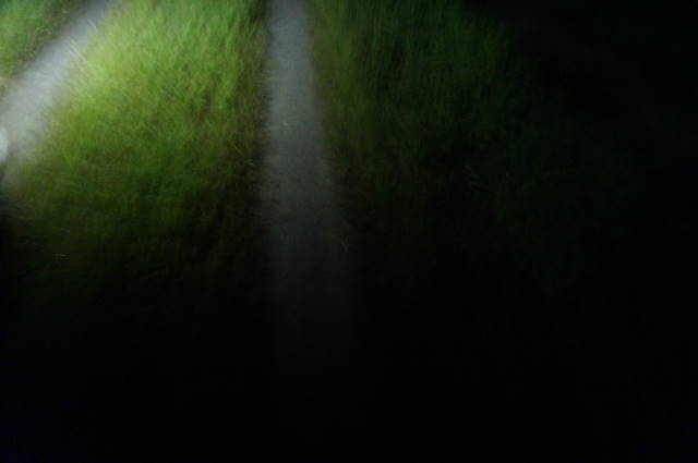 帰り道 明かりがなく、暗い