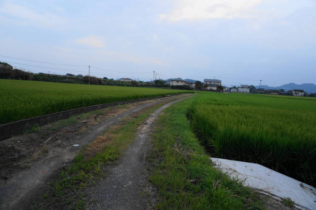 こんな道が道中の半分以上