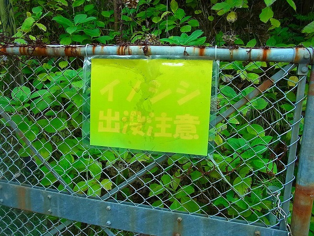 tenchisan-park1