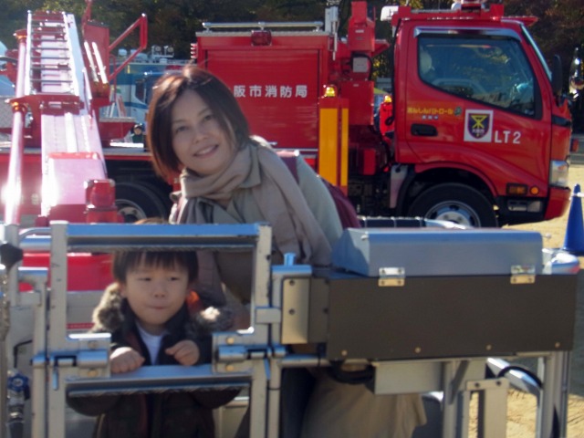 はしこ車