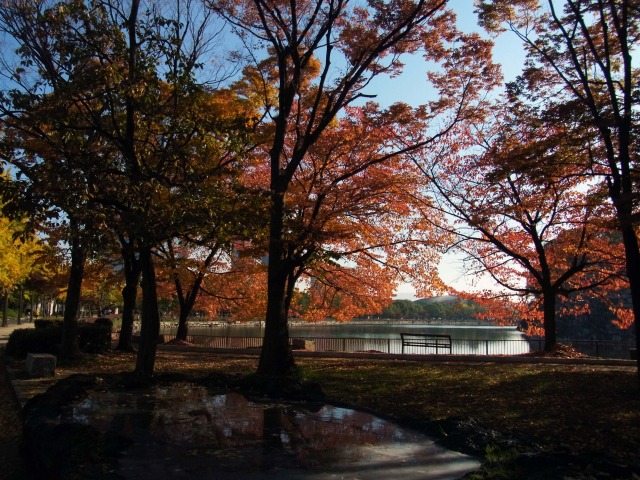 大阪城公園内を散歩