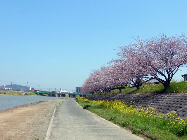 今川河川敷