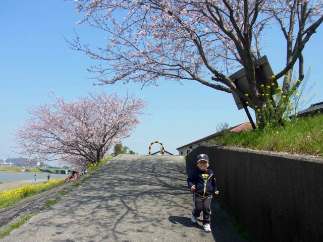 坂の下から
