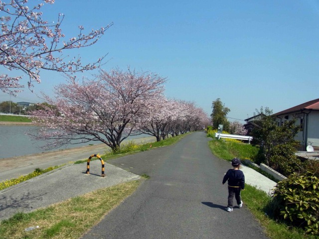 今年もまた・・・・