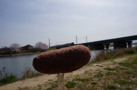 これは何だ?!・・・ドーナツです^^;