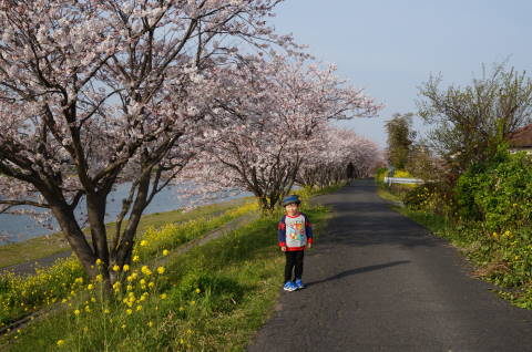 去年もここで撮影した