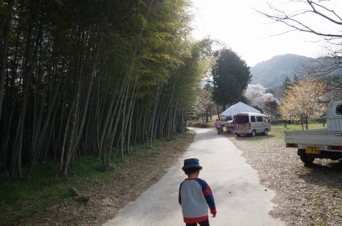 竹林