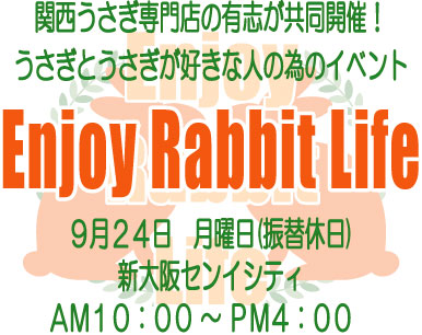 "Enjoy Rabbit Life" in Osaka